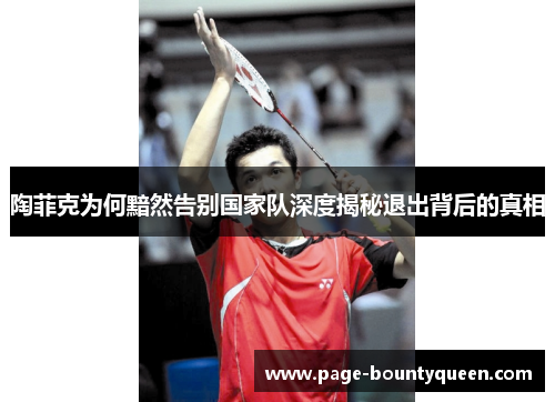 陶菲克为何黯然告别国家队深度揭秘退出背后的真相