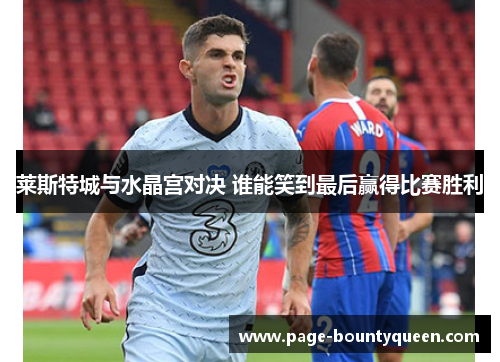 莱斯特城与水晶宫对决 谁能笑到最后赢得比赛胜利
