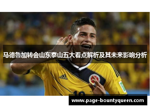 马德鲁加转会山东泰山五大看点解析及其未来影响分析